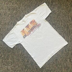 Vintage Y2K Single Stitch Tim‎ McGraw x Dancehall Doctors Tour Tee